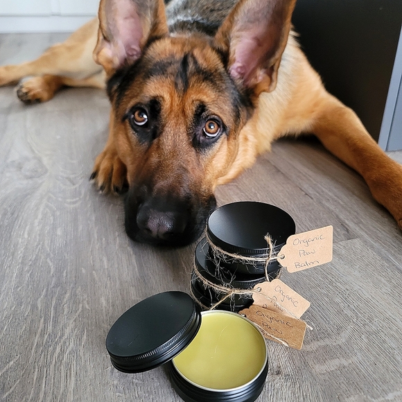 Organic Paw Balm - Picture 1 of 3